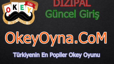dizipal 993