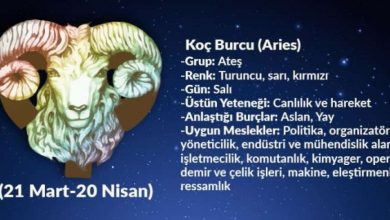 koç burcu